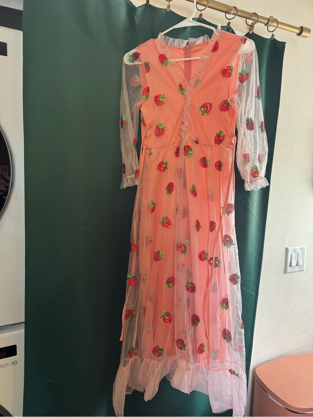 Sheer Strawberry Embroidered Peach Maxi Dress